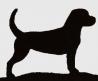 Beagle Logo